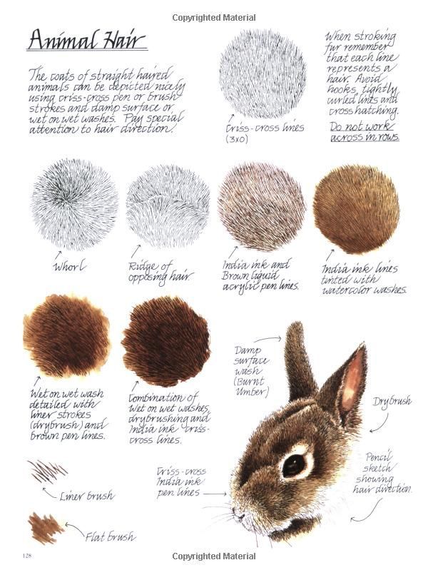 Без названия Illustration of animal hair techniques using strokes, washes, and brushes, with a rabbit sketch showcasing varying textures and methods. | Sky Rye Design Illustration of animal hair techniques using strokes, washes, and brushes, with a rabbit sketch showcasing varying textures and methods.