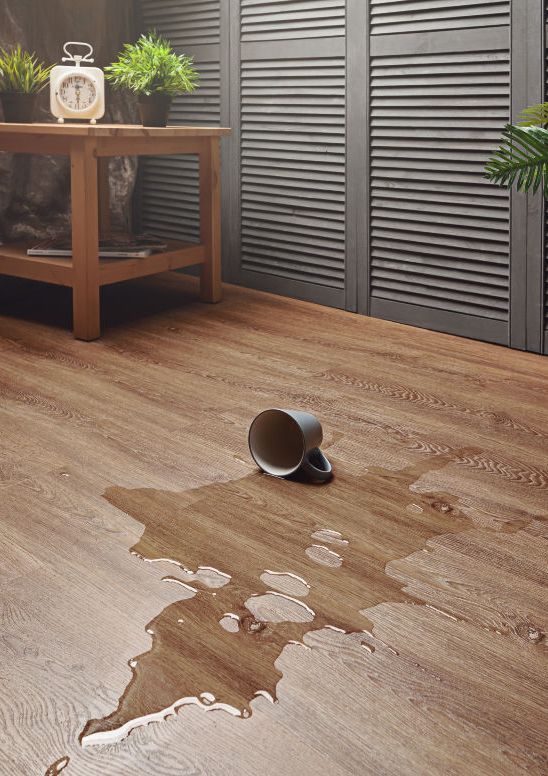 Spilled coffee mug on wooden floor, water pooling. Green plants and clock on table in background. Cozy interior with modern decor.