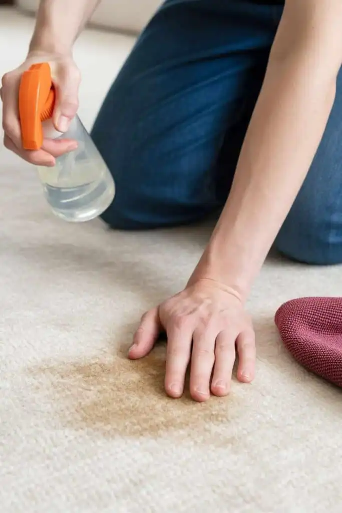 Person removing carpet stain with spray bottle and cloth, demonstrating effective cleaning techniques for home maintenance.