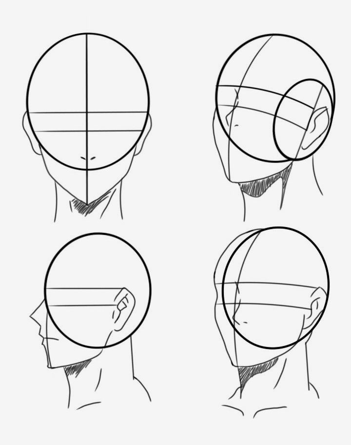 _ - 2026-01-10T002540356 Sketches showing four angles of an anime head, featuring guidelines and proportions for accurate drawing in frontal, side, and three-quarter views. | Sky Rye Design Sketches showing four angles of an anime head, featuring guidelines and proportions for accurate drawing in frontal, side, and three-quarter views.