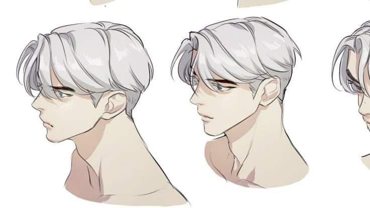 _ - 2026-01-10T003034059 Anime-style male character with silver hair in side and three-quarter views, showcasing detailed facial features and expressions. | Sky Rye Design Anime-style male character with silver hair in side and three-quarter views, showcasing detailed facial features and expressions.
