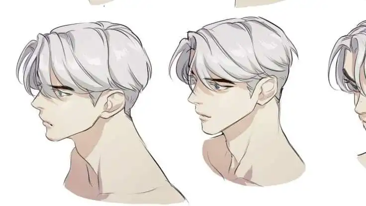 Anime-style male character with silver hair in side and three-quarter views, showcasing detailed facial features and expressions.