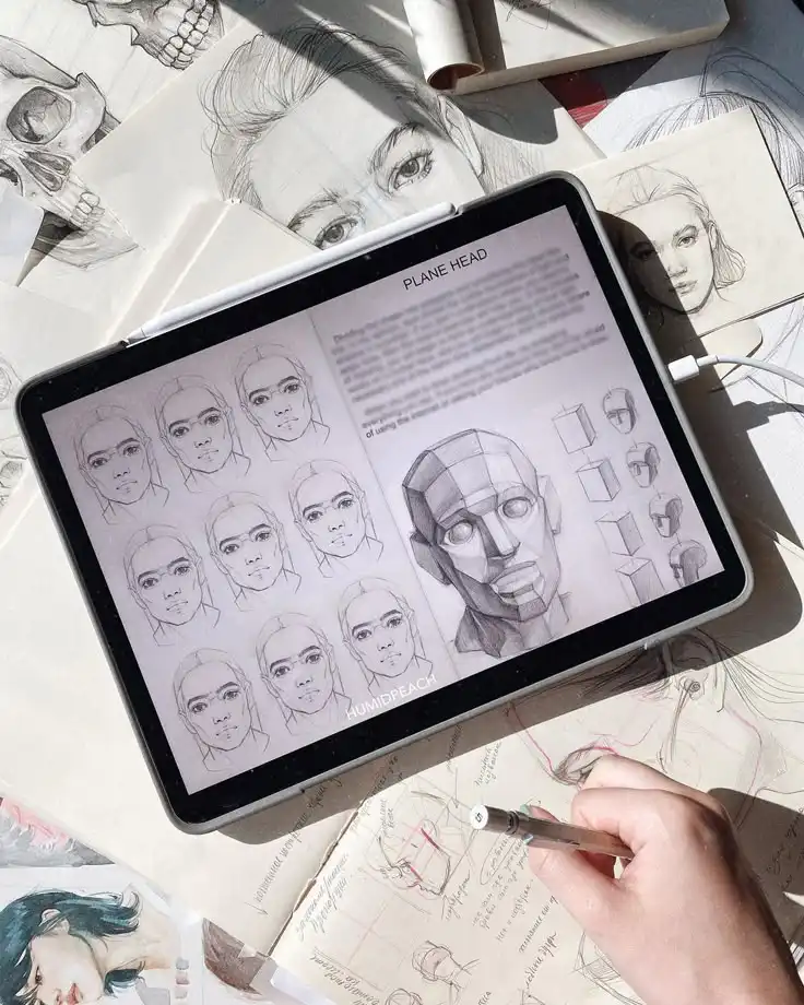 Digital art and anatomy sketches, exploring face and head structures. Hand holding a pencil, surrounded by detailed drawing studies.