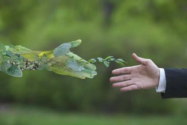 A human hand in a suit reaching towards a leaf-covered hand symbolizing nature and human connection, set against a green