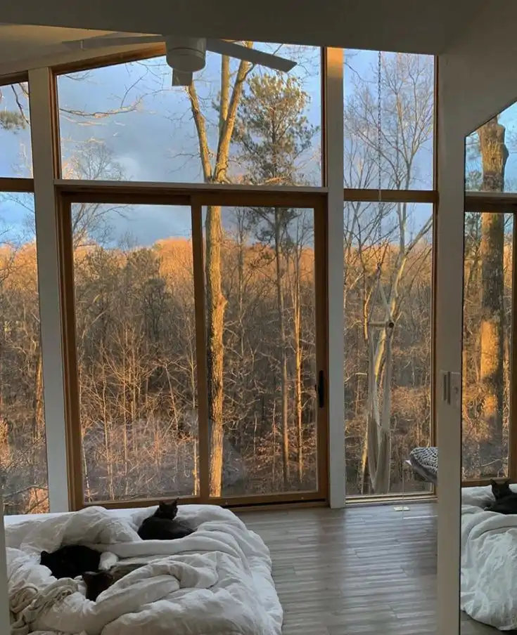 _ 31 Cozy bedroom with large windows showcasing a sunlit forest view, featuring a bed with soft white linens and cats lounging on top. | Sky Rye Design Cozy bedroom with large windows showcasing a sunlit forest view, featuring a bed with soft white linens and cats lounging on top.