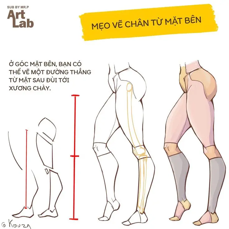 Illustration tutorial on drawing legs from side view, showcasing alignment and proportions with guides in Vietnamese text.