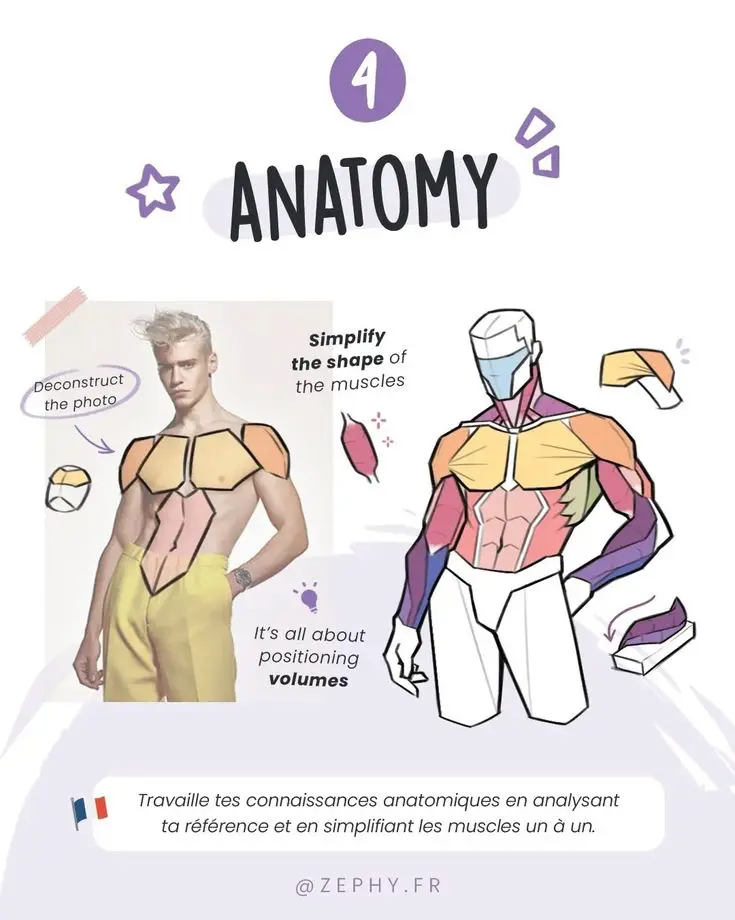 Illustrated guide to simplifying muscle anatomy for drawing, showing deconstructed male figure with color-coded muscle areas.