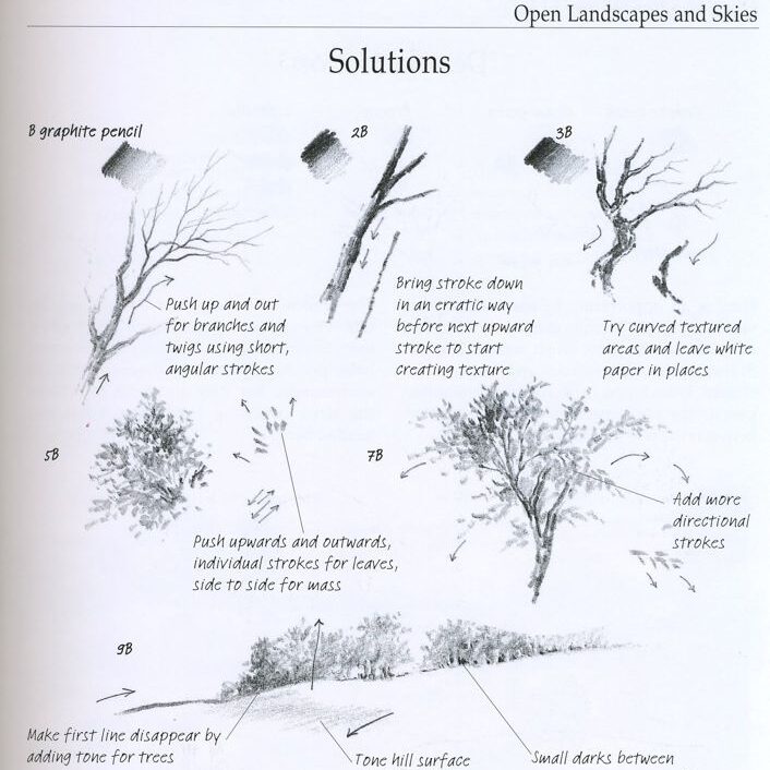5da43ff8a72254d07b7a0c0d4348fa4d Graphite pencil techniques for drawing open landscapes, trees, and skies with various textures and strokes for artistic effects. | Sky Rye Design Graphite pencil techniques for drawing open landscapes, trees, and skies with various textures and strokes for artistic effects.