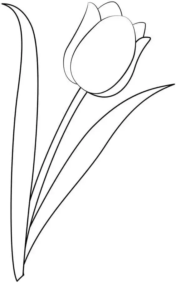 Line art drawing of a tulip with two leaves, ideal for coloring pages or floral design projects. Simple and elegant black