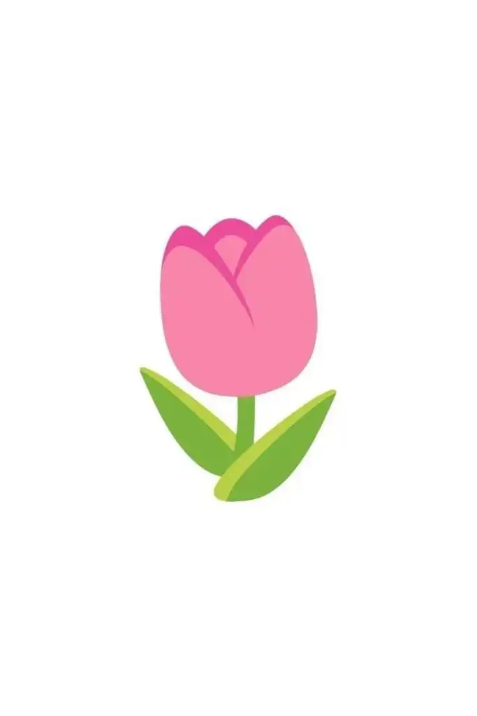 Illustration of a pink tulip with a green stem and leaves on a white background, symbolizing freshness and springtime beauty.
