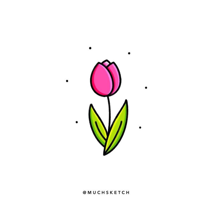Illustrated pink tulip with green leaves on a white background. Minimalist floral design with dotted accents.