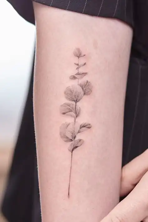 Minimalist leaf tattoo on forearm, showcasing delicate, detailed design. Nature-inspired body art with eucalyptus leaves in soft grayscale tones.