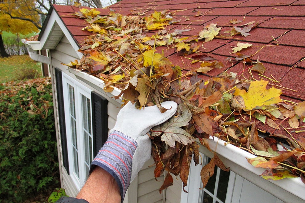 Fall_Maintenance_990x660 Gloved hand clearing autumn leaves from house gutter, promoting home maintenance and efficient rainwater drainage. | Sky Rye Design Gloved hand clearing autumn leaves from house gutter, promoting home maintenance and efficient rainwater drainage.