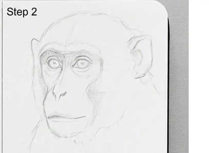 Pencil sketch of a chimpanzee face on sketchpad, step 2 of drawing guide. Outline and shading details focused on eyes and