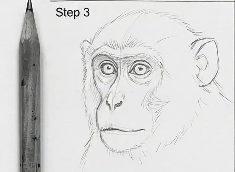 Pencil drawing of a monkey's face next to a pencil, labeled Step 3, showcasing a tutorial on how to draw a monkey step by