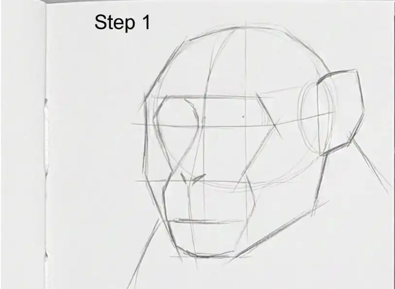 Step 1: Sketch of a human face with pencil guidelines, showing initial drawing process on white paper.