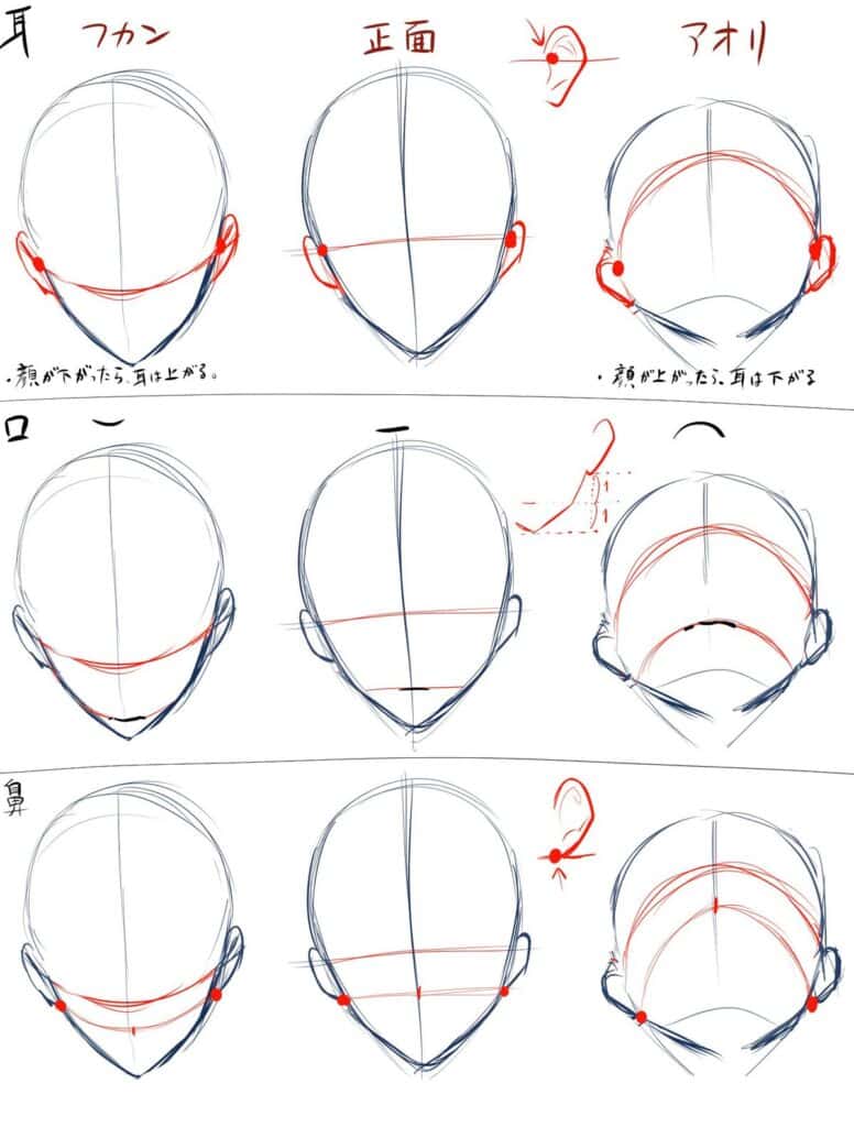 Head sketch tutorial showing different angles and ear placements in drawing, with guides and annotations in Japanese text.