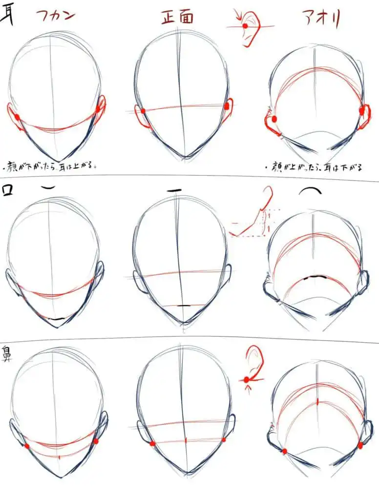 Head sketch tutorial showing different angles and ear placements in drawing, with guides and annotations in Japanese text.