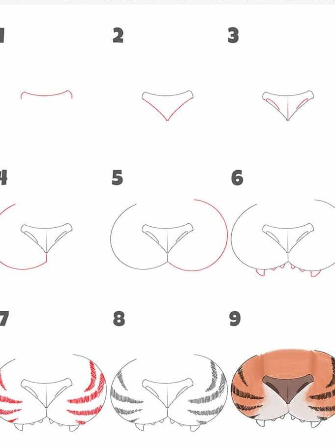 How to Draw a Tiger Nose | Sky Rye Design