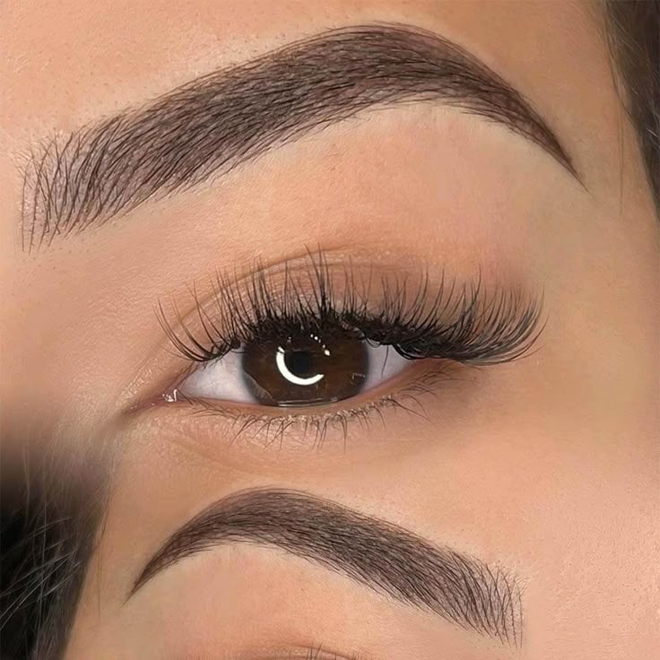 Is Microshading a Tattoo_ Similarities and Differences Close-up of a well-groomed eyebrow and long eyelashes, highlighting eye makeup and beauty care. | Sky Rye Design Close-up of a well-groomed eyebrow and long eyelashes, highlighting eye makeup and beauty care.