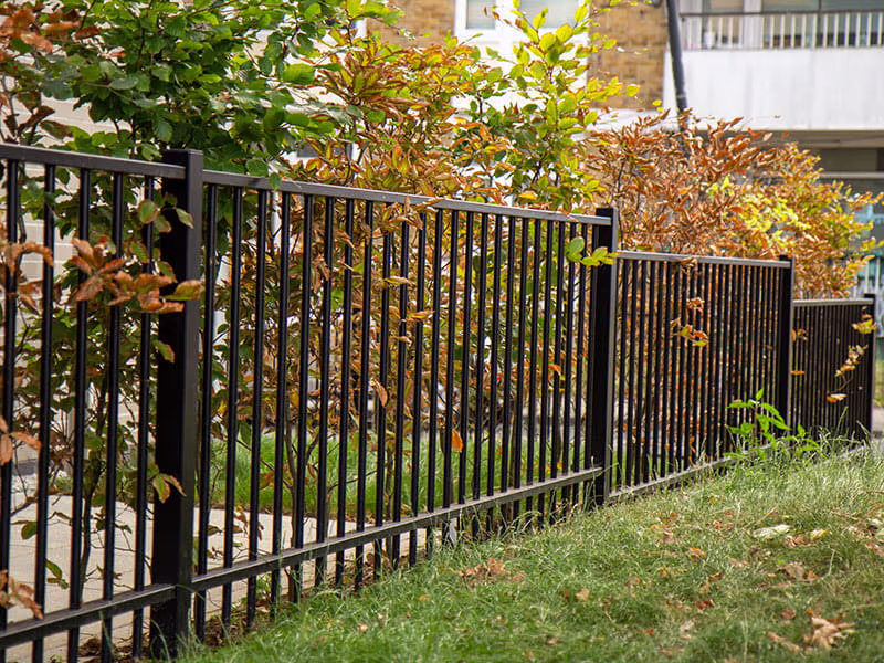 Metal low height railings | Sky Rye Design