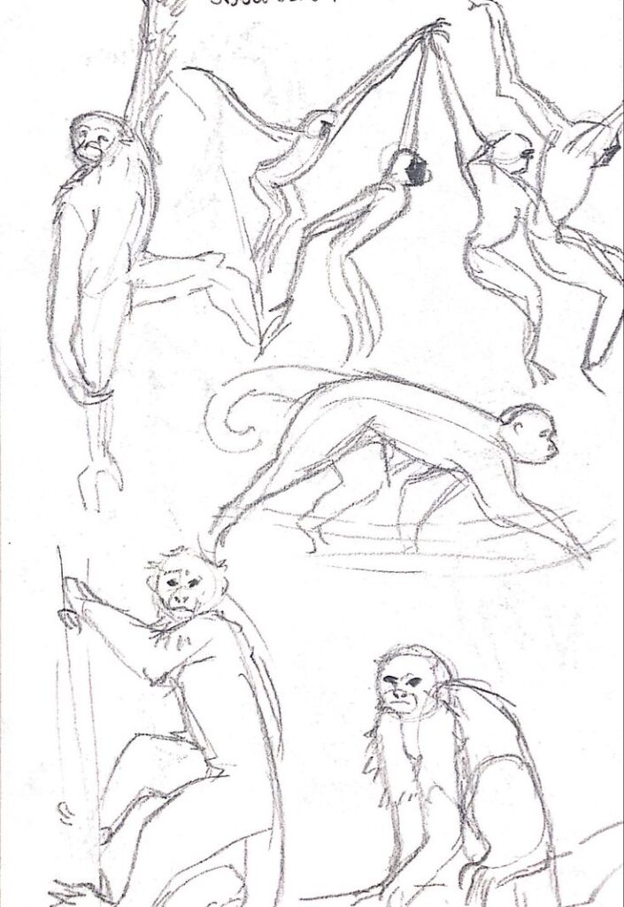 Observation Sketch of monkeys in various dynamic poses, showcasing movement and agility with playful interactions and expressions. | Sky Rye Design Sketch of monkeys in various dynamic poses, showcasing movement and agility with playful interactions and expressions.