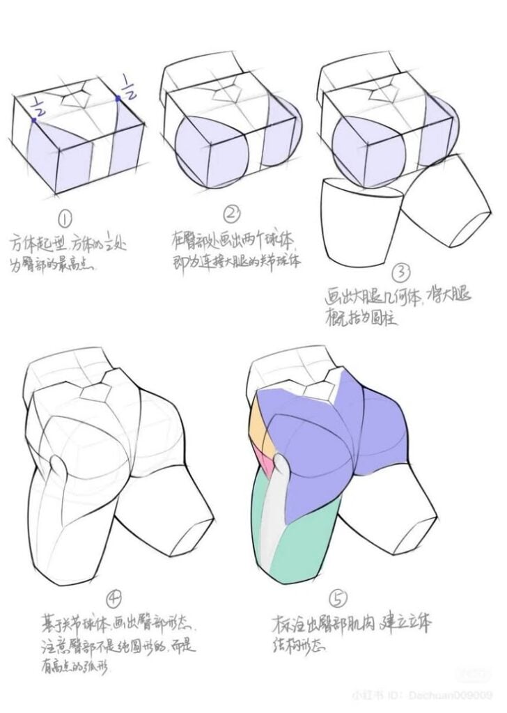 Illustrated step-by-step anatomy tutorial of buttocks and upper thigh, showing block construction and colored muscle groups.