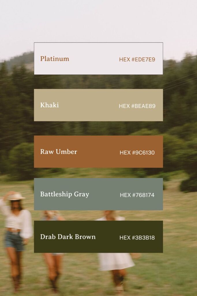 Rustic Romantic Country Girl Color Palette _ Earthy Warm Feminine Tones Color palette featuring Platinum, Khaki, Raw Umber, Battleship Gray, and Drab Dark Brown with HEX codes, overlaying a blurred field scene. | Sky Rye Design Color palette featuring Platinum, Khaki, Raw Umber, Battleship Gray, and Drab Dark Brown with HEX codes, overlaying a blurred field scene.