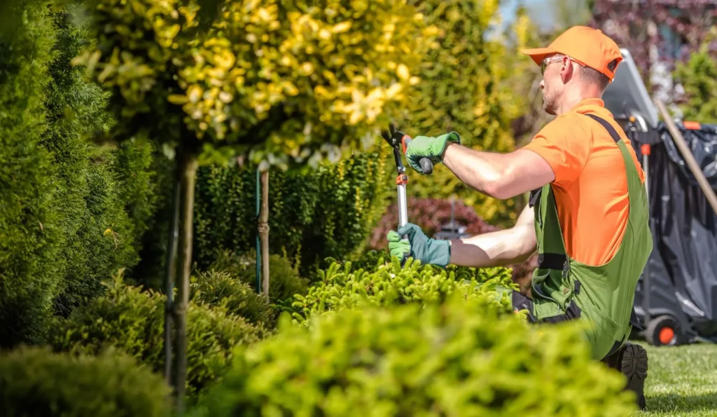 Spring-and-Summer-Maintenance-1024x595 Gardener trimming hedges in a lush garden wearing orange and green uniform, surrounded by vibrant greenery, emphasizing | Sky Rye Design Gardener trimming hedges in a lush garden wearing orange and green uniform, surrounded by vibrant greenery, emphasizing