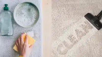 Person using a sponge and foamy water to clean a carpet; vacuum cleaner on the right with CLEAN visible on the carpet.