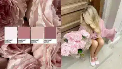 Pantone pink shades with roses and a woman in a pink sweater and shoes holding pink flowers on steps by a wooden door.
