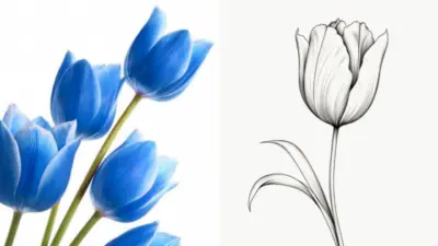 Blue tulips on the left and a black-and-white tulip sketch on the right, showcasing vibrant and artistic floral designs.