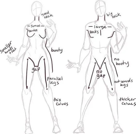 Comparison of two body types with annotations highlighting features like neck size, shoulder width, leg gap, and body proportions.
