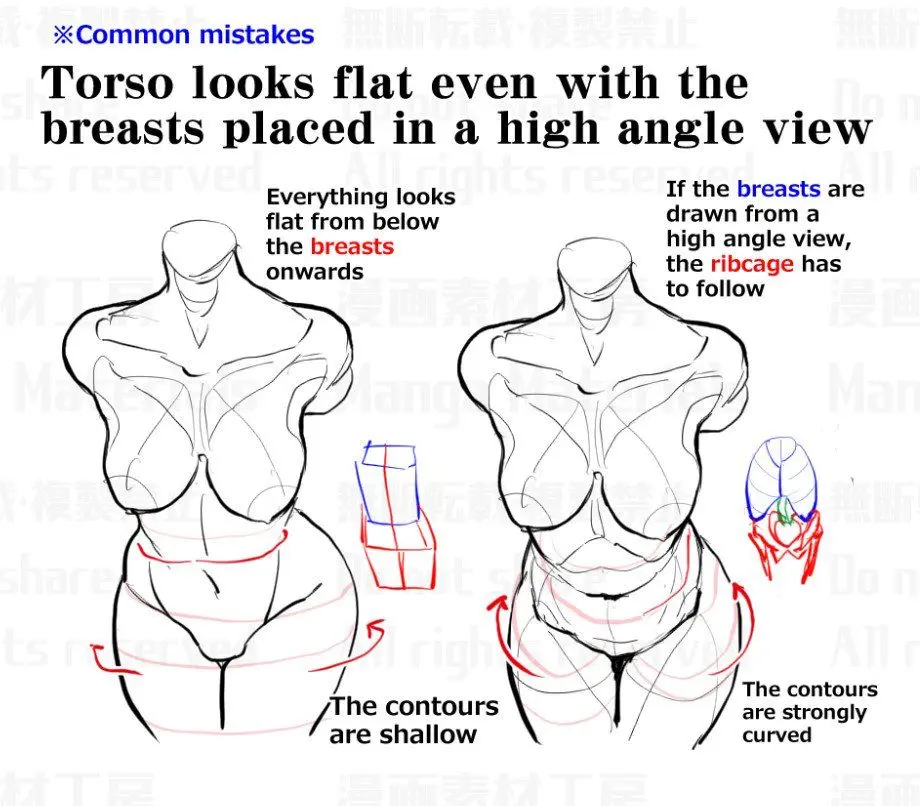 Diagram illustrating common mistakes in torso drawing from a high angle view, highlighting the importance of ribcage and breast positioning.