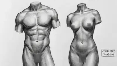 Detailed sketch of male and female torsos, showcasing anatomy and shading techniques. Both figures are drawn without heads for focus.