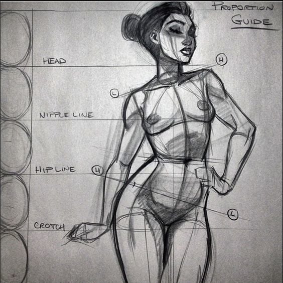 Sketch of a female figure drawing with labeled proportion guide, highlighting lines for head, nipple, hip, and crotch for artistic reference.