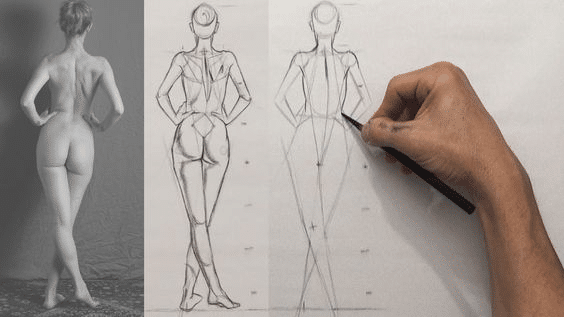 image Drawing tutorial showing a series of sketches of a human figure from reference to final draft, highlighting anatomical structure. | Sky Rye Design Drawing tutorial showing a series of sketches of a human figure from reference to final draft, highlighting anatomical structure.