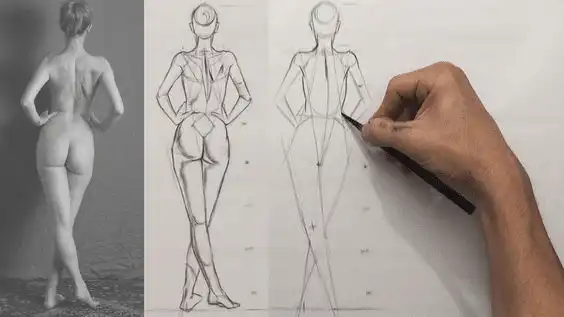 Drawing tutorial showing a series of sketches of a human figure from reference to final draft, highlighting anatomical structure.