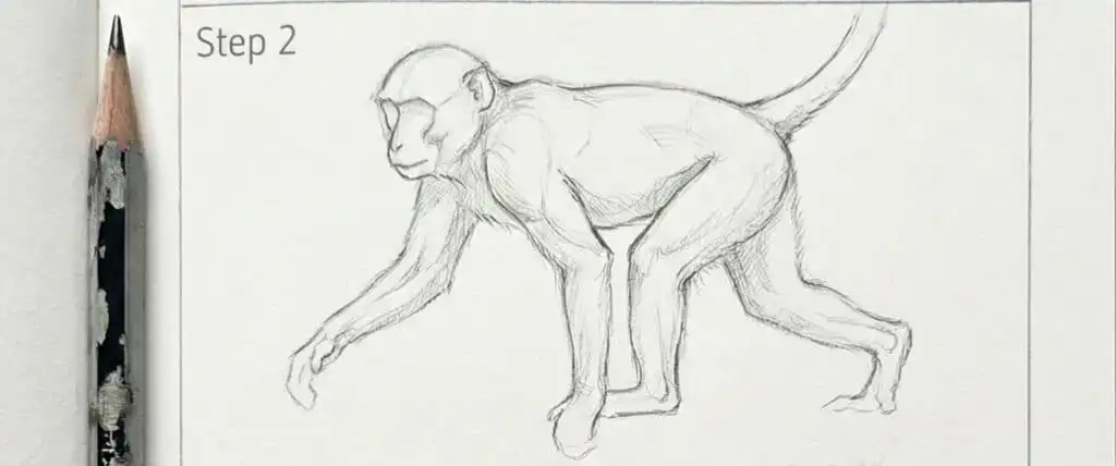 Sketch of a monkey in step 2 of drawing process, with a pencil on the left side. Focused on anatomy and form.