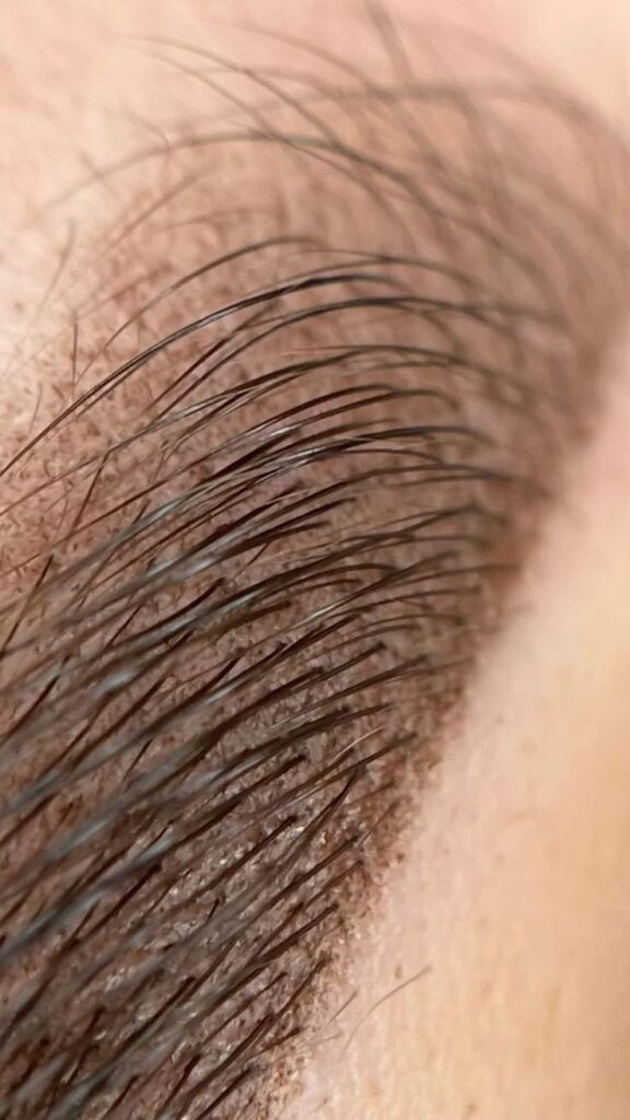 Пудровое напыление Close-up of natural eyebrow hair showing texture and growth pattern. Perfect for beauty tutorials and skincare tips. | Sky Rye Design Close-up of natural eyebrow hair showing texture and growth pattern. Perfect for beauty tutorials and skincare tips.