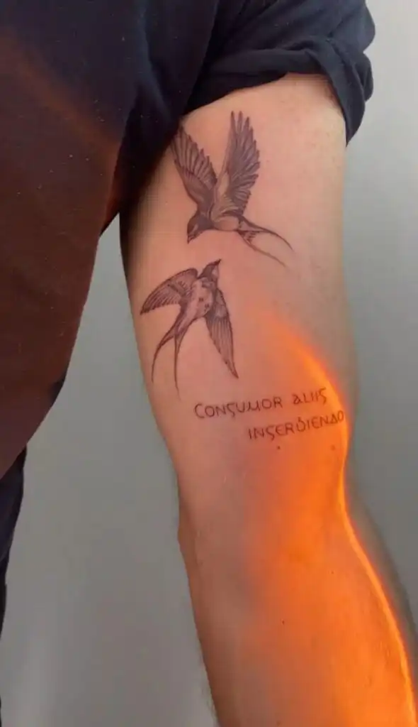 Arm tattoo with two birds in flight and Latin text. Sunlight casts a warm glow on the detailed ink design.