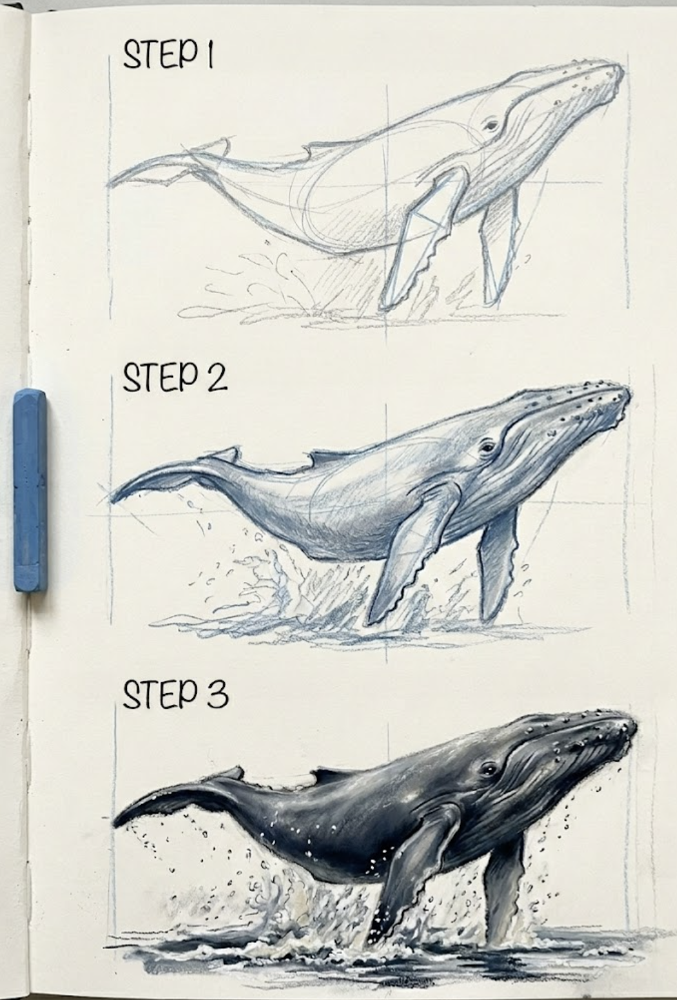 Three-step blue-pencil whale drawing tutorial: outline, mid-tone shading, and finished breaching humpback sketch