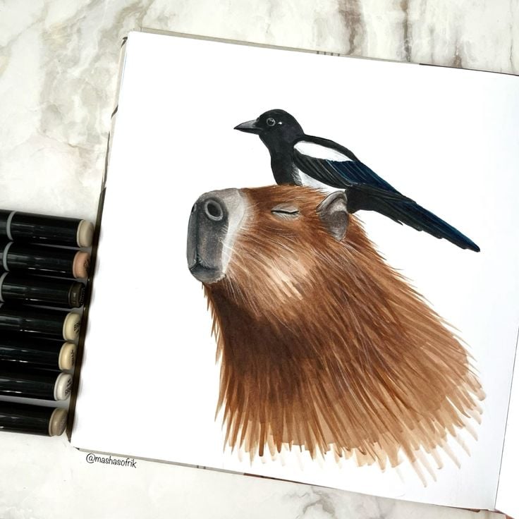 Capybara illustration with magpie — colored marker drawing of a relaxed capybara and black-and-white magpie in an open sketchbook