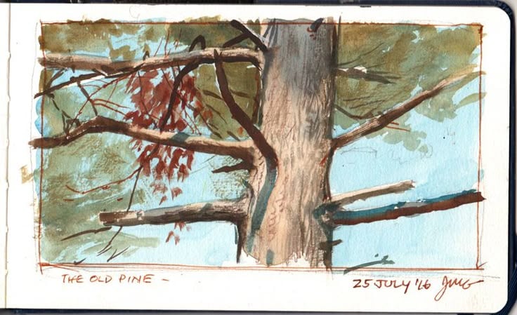 Watercolor sketchbook illustration of an old pine tree trunk and branches, dated 25 July '46, handwritten title 'The Old Pine'