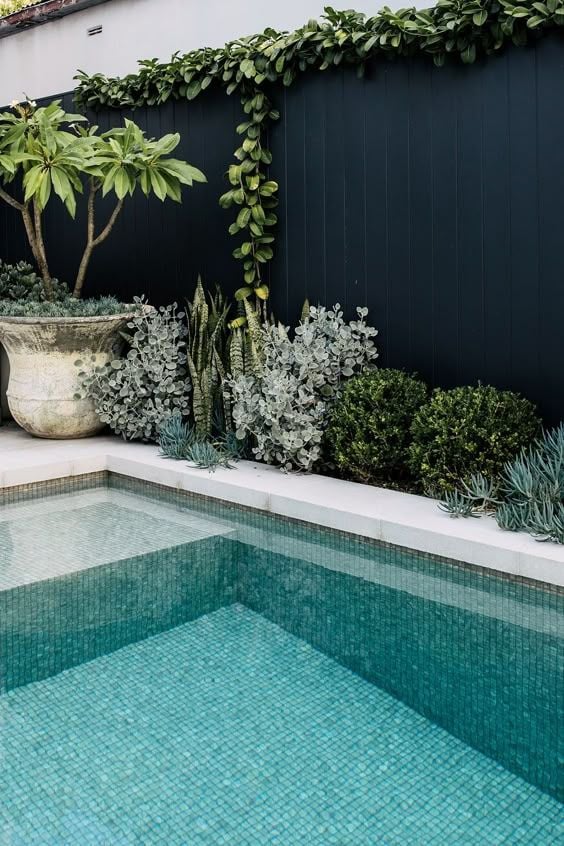 Modern backyard plunge pool with turquoise mosaic tiles, dark privacy fence and lush potted plants and succulents along a white ledge.