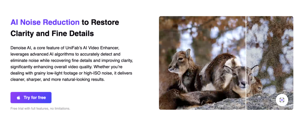 AI noise reduction before-and-after: denoise restores clarity in a grainy wildlife photo, showing a sharp deer close-up versus the noisy original.