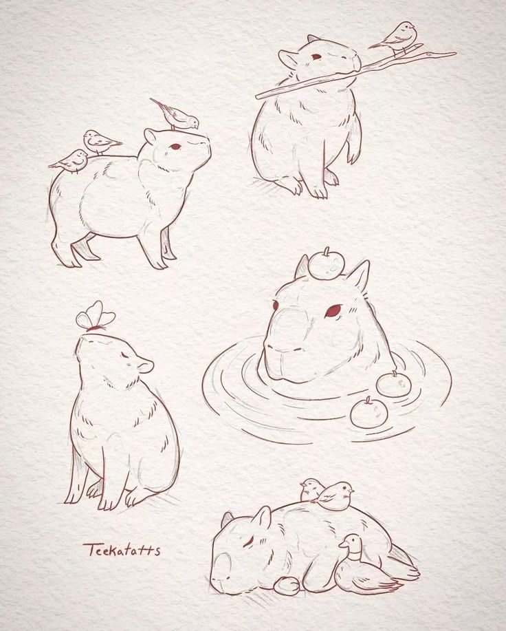 Whimsical line-art capybara illustrations with small birds and floating apples — cute animal sketches for nature, pets, and wildlife content