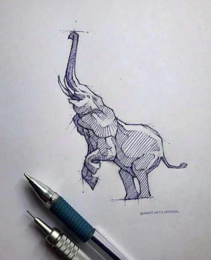 elephant 10 Detailed ballpoint pen sketch of a rearing elephant on white paper with two mechanical pencils in the foreground — line art illustration | Sky Rye Design Detailed ballpoint pen sketch of a rearing elephant on white paper with two mechanical pencils in the foreground — line art illustration
