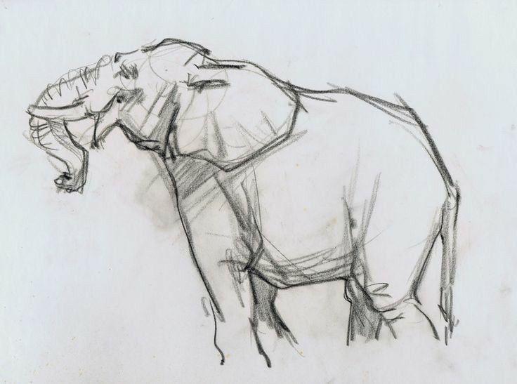 elephant 11 Pencil sketch of an elephant with raised trunk on white paper, loose gestural lines, wildlife sketchbook drawing | Sky Rye Design Pencil sketch of an elephant with raised trunk on white paper, loose gestural lines, wildlife sketchbook drawing
