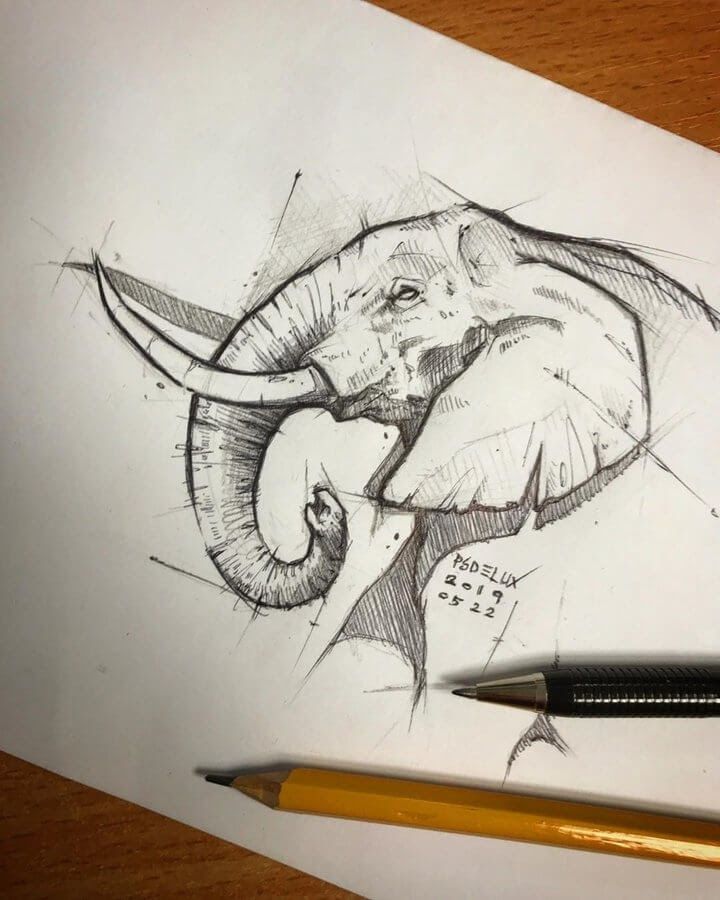 elephant 7 Hand-drawn elephant pencil and pen sketch on white paper with a yellow pencil and black pen. | Sky Rye Design Hand-drawn elephant pencil and pen sketch on white paper with a yellow pencil and black pen.